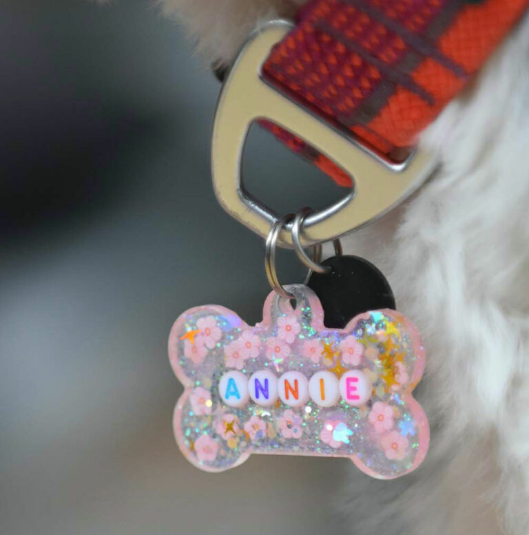 Crafting Unique Dog Name Tags with a Personal Touch