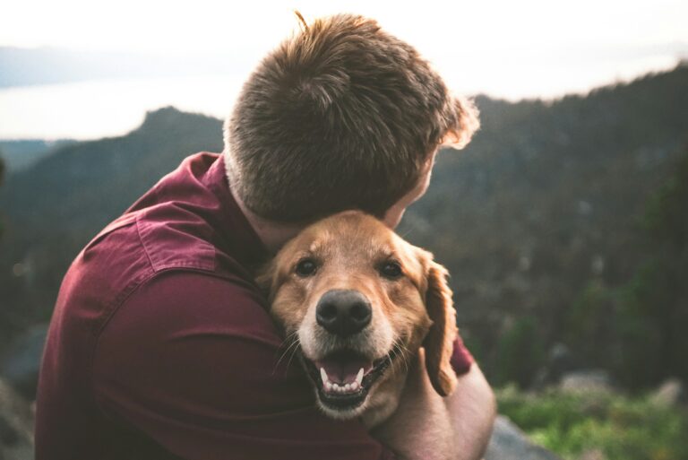 Pawsitively Happy: How to Ensure Your Dog Leads a Fulfilling Life